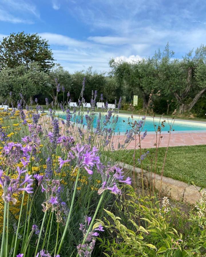 Glamping Suite Il Grillo Лампорекио Екстериор снимка